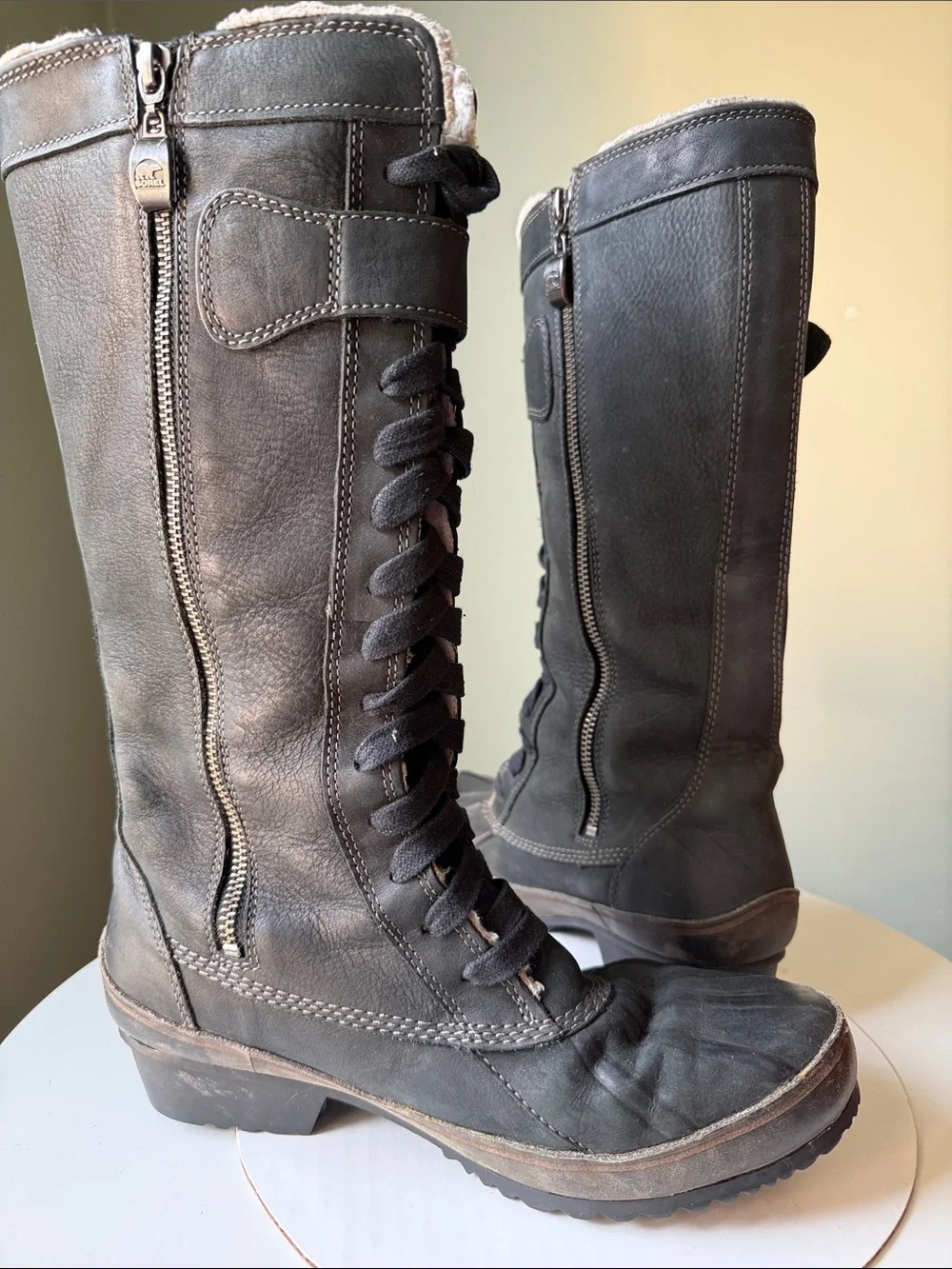 Sorel sorelia earhart